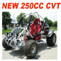 250CC OFF ROAD BUGGY (MC-462)